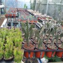 오세열농장 이미지