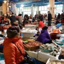 죽도시장 이미지