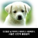 개와고양이의생각 - 도봉구 방학로10길 9 | 개와고양이의생각