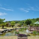 우포늪 생태체험장 전시실 및 기타 | 대구 근교 아이 데리고 창녕우포늪생태체험관