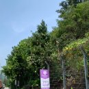 (주)굿시스템 네이버블로그