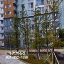 민락엘레트공인중개사사무소 이미지