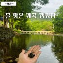 덕동마을회관 | 제천 계곡 캠핑장 평상 추천 다슬기 올챙이 맑은 물