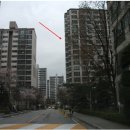 분당-391 이미지