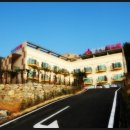 알로하무인텔 이미지