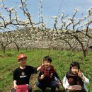 손불농장 이미지