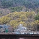 현천마을 이미지