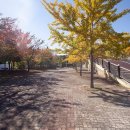 밤가시공원 화장실 이미지