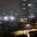 진관유도중앙도장 이미지