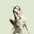 하늘메디칼 이미지