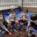 세천유치원 이미지