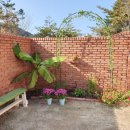 델루나 관광펜션 이미지