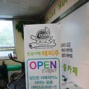 수원-0980 | 수원 정자동 "해피주수원본점" 동물카페 방문