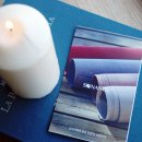 베이비독 이미지