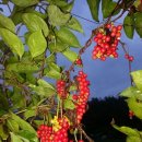 영기농장 이미지