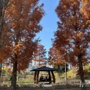 시민공원 남문 인근-1 이미지