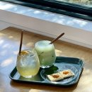 성안농장 | 제주 여행 | Autumn in Jeju (7) 감귤체험 농장 및 카페, "아날로그 감귤밭" 방문 후기