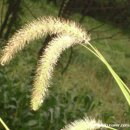 드림농장 이미지