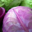 비타민휘트니스헬스클럽 이미지