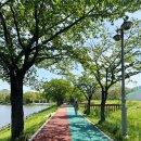 화랑유원지_경기도미술관주변 | 안산 가볼만한곳 화랑유원지 경기도미술관 카페 주차장 입장료