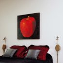 테리하우스 이미지