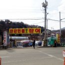 한강민물 이미지