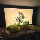 이소블랜딩 이미지