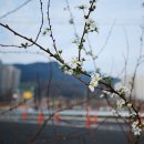 호국산행 답사길 (성서-성주대교) 이미지