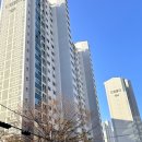 최영희 미용가