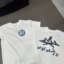 용인대 태권마루 태권도장 이미지