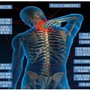 척추/골반/재활(목 & 허리 디스크, 척추 협착증, 좌골신경통..) 1:1 맞춤 운동 & 주식 차트 분석 강의 전문(지역 : 통영) 이미지