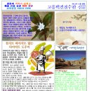 봉황의나라 고흥택견 전수관 이미지