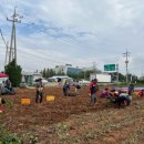 사랑의농장 이미지