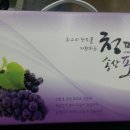 영농조합법인 공룡마을 이미지