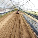 강진산들농원 이미지