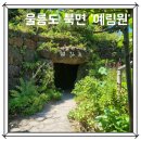 × 울릉도 북면 &#39;예림원&#39; 한번 꼭 가볼 만한 울릉도 유일의 아름다운 수목원
