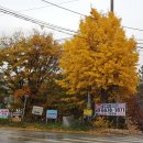 대정호수 이미지