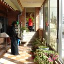 광양불고기 금목서 이미지