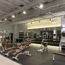 짐 화이트하우스 | 경산 24시 헬스장 추천 💪 짐 화이트하우스 다녀본 솔직 후기