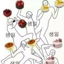 우리집 강아지 이미지