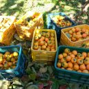 말구리농장 이미지