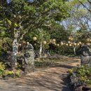 제주민속촌 이미지