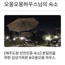 오몽오몽하우스