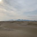 하하물산 이미지