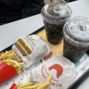 [블챌]가을맞이 포천 계곡 비니비니 글램핑 여행 솔직 후기🛌🍖