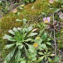 방동농장 이미지