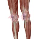 피티공 필라테스 PT 이미지