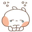 금비펫살롱 이미지