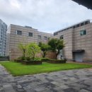 의료법인 토마스의료재단 안양윌스기념병원 | 안양윌스기념병원 신경성형술,풍선확장술 3박4일 입원기