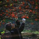 지리산 온천관광지 이미지